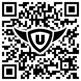 QR-Code Stonies