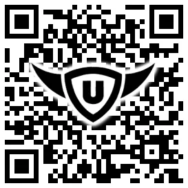 QR-Code Stonies