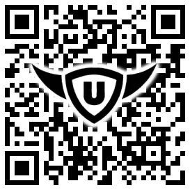 QR-Code Stonies