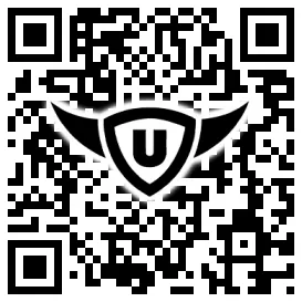 QR-Code Stonies