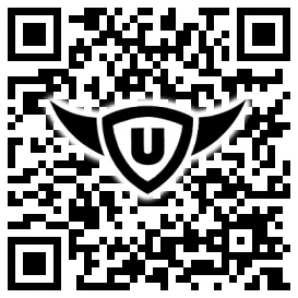 QR-Code Stonies