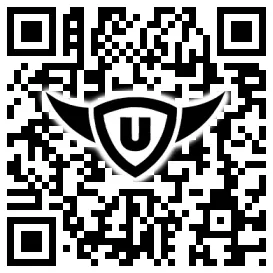 QR-Code Stonies